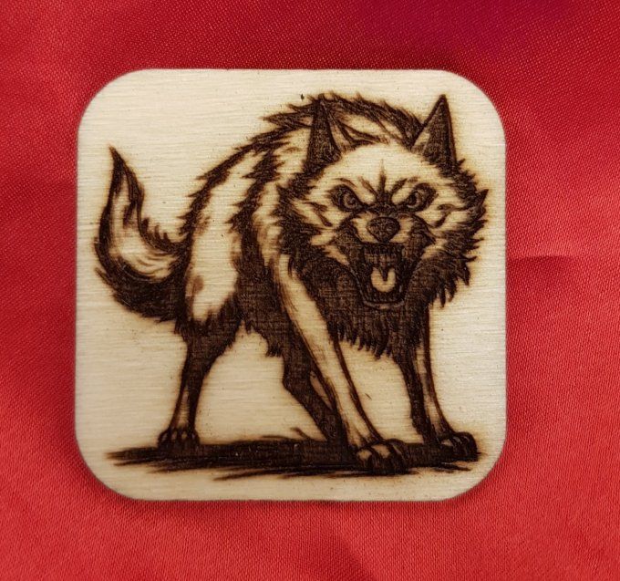 Magnet loup